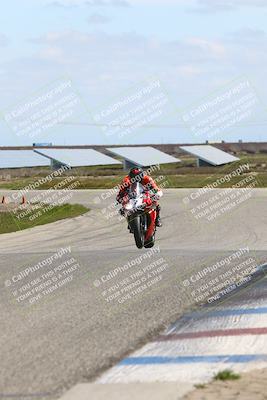 media/Mar-23-2025-TrackDaz (Sun) [[88a7749186]]/B Group/1220pm (Wheelie Bump)/